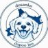 @dosanko_dapoo_leo
